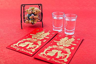 《塞尔达传说：旷野之息》续作仍然没有确定正式名称